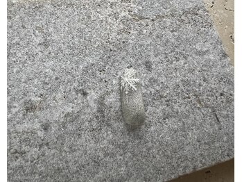 ツリーハウスネイル(tree house nail)/winter art♪