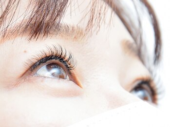 シュガーヒル(Sugar Hill)/マツエク付け放題