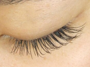 アイラッシュ ビーワークス(b-works)/上140本