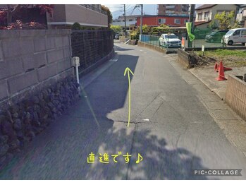 オランジェリー(ORANGERY)/