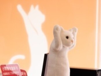 宮前まちの整骨院 宮前まちの鍼灸マッサージ院/院内写真【骨盤矯正/整体/宮前】