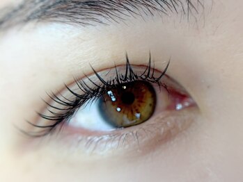 ベルアイラッシュ(Belleyelash)/【まつげエクステ】瑞江/まつげ