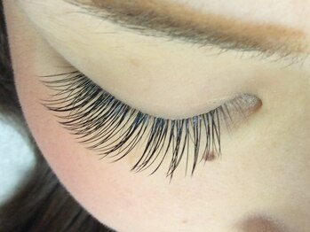 シュシュ(chou chou)/セーブル140本(chouchou吉祥寺)