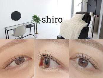 シロ(shiro)