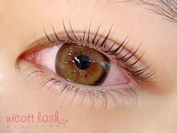 ニコットラッシュ 神戸マルイ店(nicott lash)/まつげパーマ/パリジェンヌ/三宮
