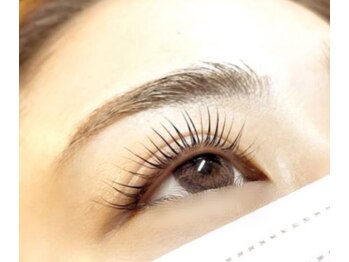 カラー(Calla)/【レディース店】人気のまつげ