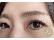 ラソ プエルト(LAZO puerto)/フラットラッシュ140本