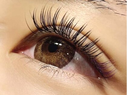 ルーア(Lua)の写真