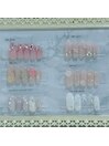 【定額C】7月のデザイン