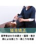 【話題の首・肩のコリ改善！？】肩甲骨からすっきり！猫背矯正