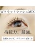 【持続力最強★Wフラットラッシュmix】100本 ￥7000/120本¥7300