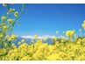 【花粉の季節に◎うつぶせなし】タイボディケアMIX70分ヘッド20分（計90分）