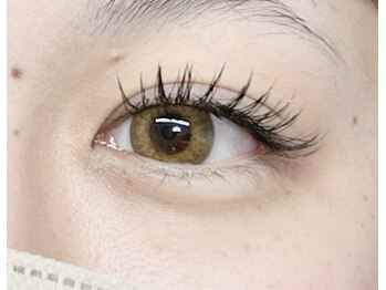 サロンエム(Salon M)/フラットラッシュ付け放題