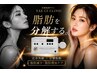 【医療提携＊速攻小顔】”最新”脂肪分解[5mm導入]　初回価格￥14800