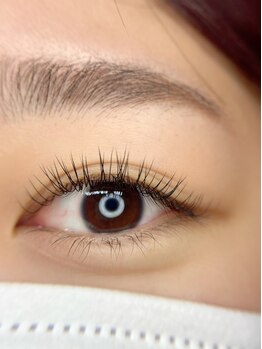 アイビー(Ivy)/フラットラッシュ/Lカール