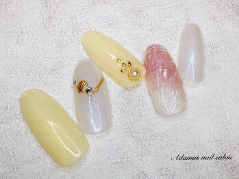カジュアル定額コース ¥8250