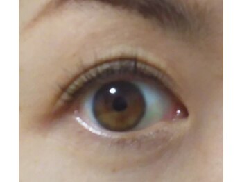 リボーン(Re born)/パリジェンヌラッシュリフト