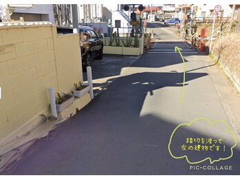 オランジェリー(ORANGERY)/