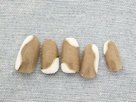 定額Trend