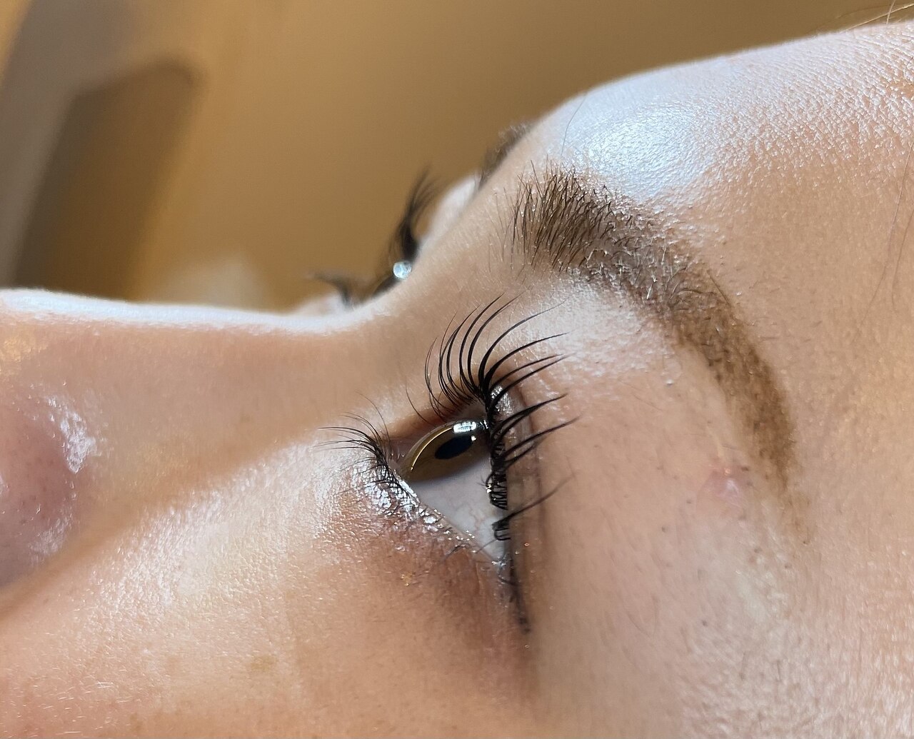 まつ毛パーマ【ラッシュリフト】×下まつ毛パーマ￥8,800→\7,700