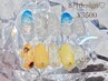 【毎月変わるDesignコース★★】定額Happy価格◎