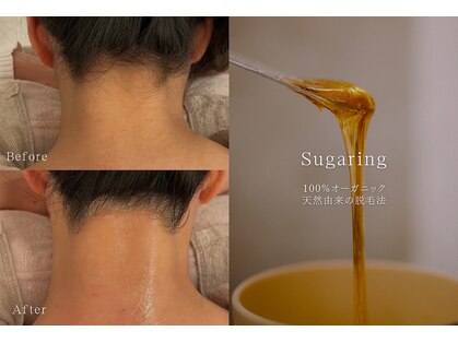 ルミエール(Lumiere)の写真