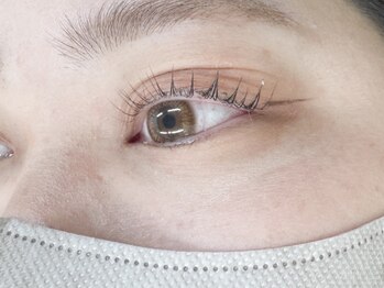 ビス(Vis)/パリジェンヌラッシュリフト