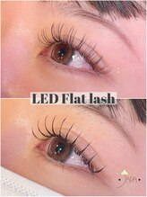 ジャパ(JAPA)/LED＊フラットラッシュ120本