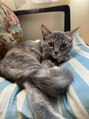 エムスラッシュアヴェダ 自由が丘(M.SLASH AVEDA)&nbsp;片寄家の"こむぎ"です！いつも癒しをもらってます♪