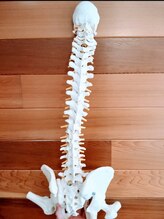 エムズ ファミリア あざみ野(M‘s Familia)/美しい姿勢を取り戻しましょう♪