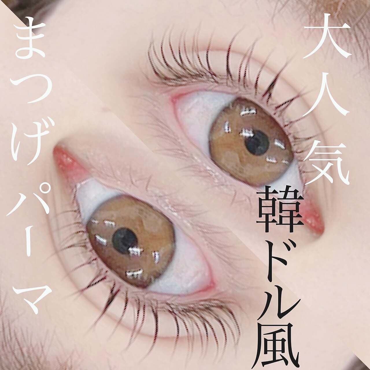 【新規様限定】トレンド束感♪韓ドル風まつげパーマ（上）￥4400→￥3900