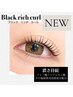 ☆ＮＥＷ☆ブラックリッチカール☆美容成分+濃さ持続☆¥6800☆