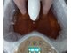 水素サロンR&Dの写真/【ペア・初回限定】ゴッドクリーナー30分or60分※メニュー新登場です★まずはお知り合いとお得にデトックス