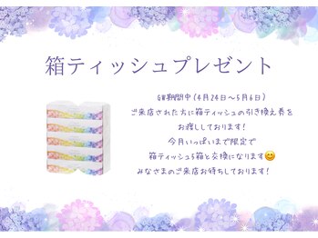 フォーカス 小松店(FOCUS)/