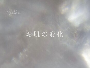 シェルビー(Cielbe.)/