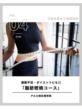 アロエ鍼灸整体院/脂肪燃焼コース