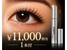 【お得に】まつ毛パーマ上下セット＋ラッシュアディクト(¥1100 OFF)