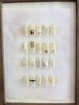 選べる◆シンプルArt2本¥6000→¥5500