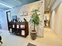 サロン ド レーヴ(Salon de Reve)/〈お店の雰囲気〉