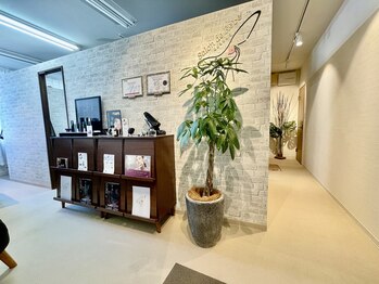 サロン ド レーヴ(Salon de Reve)/〈お店の雰囲気〉