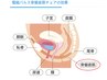 【骨盤底筋強化マシーン】産後ケア・デリケートゾーン特有のお悩みに！