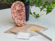 3食しっかり食べながら3ヶ月-10kg目指せる方法をお伝えします