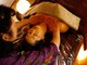 アーユルヴェーダサロン ディヤーナ(DHIYANA)の写真/インドの伝統的なオイルトリートメント≪アヴィヤンガ≫身体に合わせた手技で体内の老廃物の排出を促進☆