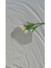 【U24割引】全メニューから15％OFF