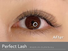 アンモス 日本橋店(Ann Moss)/持ち重視の方におすすめマツエク