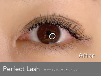 アンモス 日本橋店(Ann Moss)/持ち重視の方におすすめマツエク