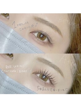ロレインブロウ 赤塚店/まつ毛パーマ＋眉毛Wax
