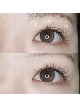 シーペアー(Sea pear)/フラットラッシュ120本