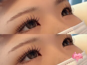 リトル(Little)/ダブルフラット80束(160本)