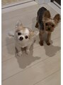 ブプラ 沖縄美里店(BUPURA)&nbsp;愛犬バカです//愛犬トークしましよぉ♪